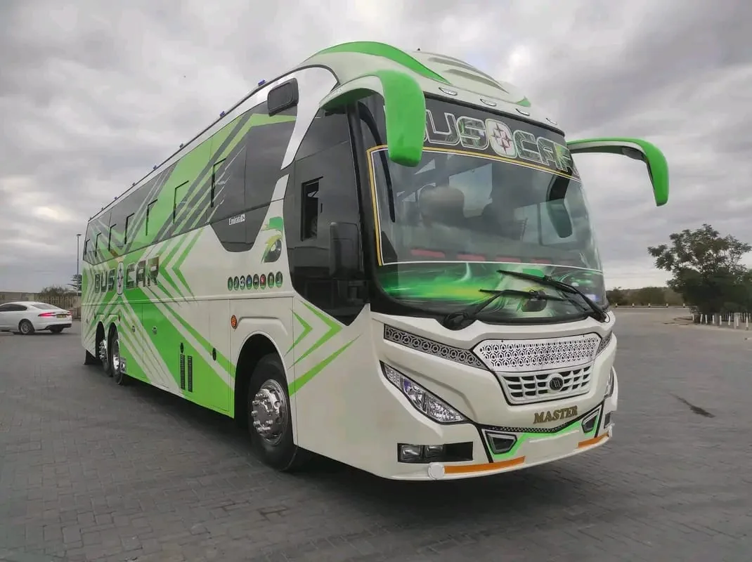Buscar green and white coach